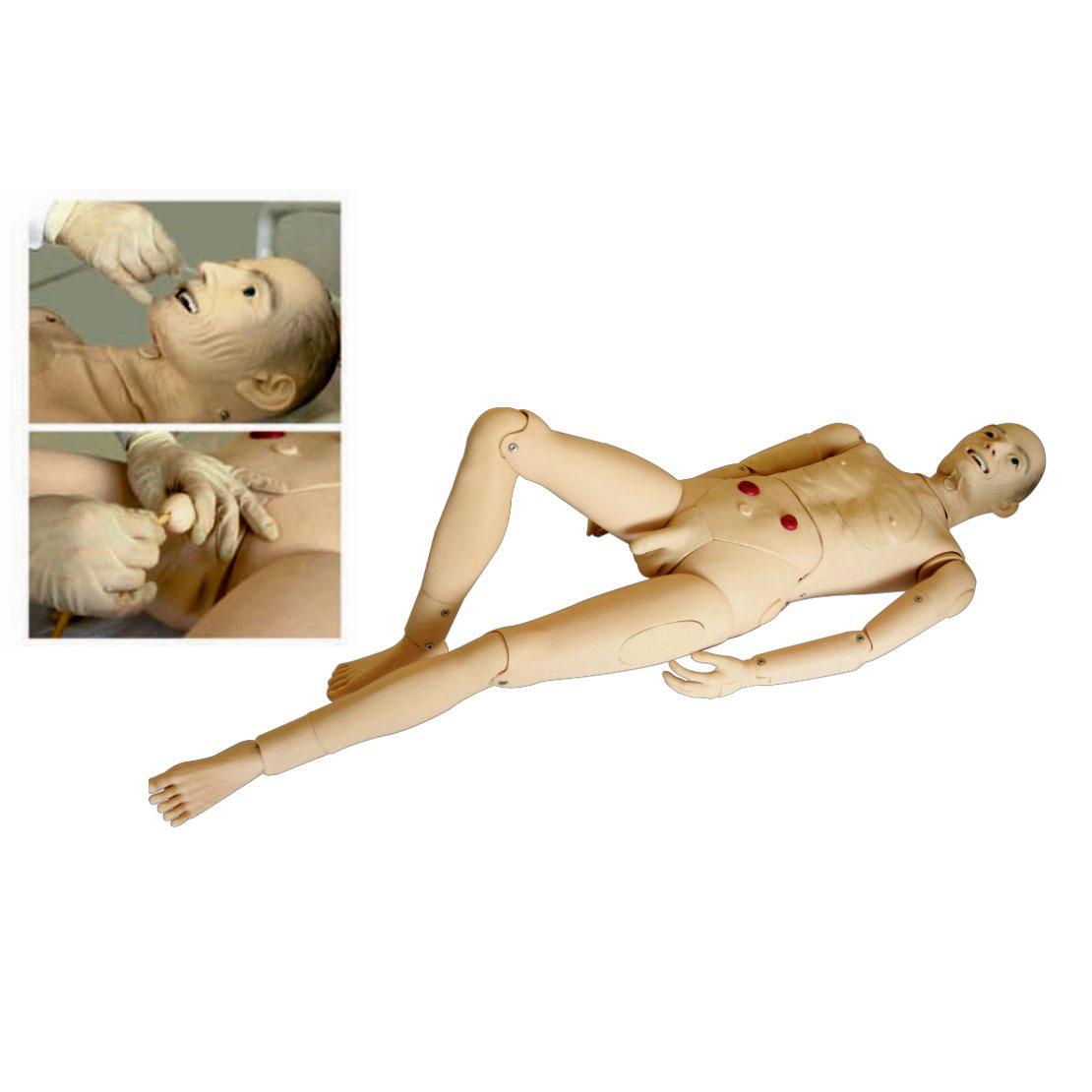 高級(jí)全功能老年護(hù)理人(男性) 高級(jí)全功能老年護(hù)理人(男性)