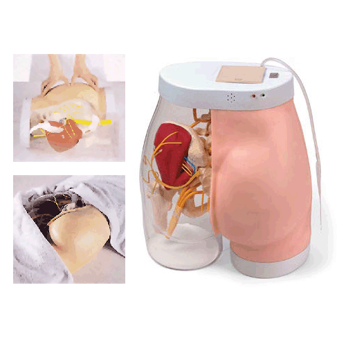 高級(jí)臀部肌肉注射訓(xùn)練及對(duì)比模型(帶檢測(cè)警示系統(tǒng)) 高級(jí)臀部肌肉注射訓(xùn)練及對(duì)比模型(帶檢測(cè)警示系統(tǒng))