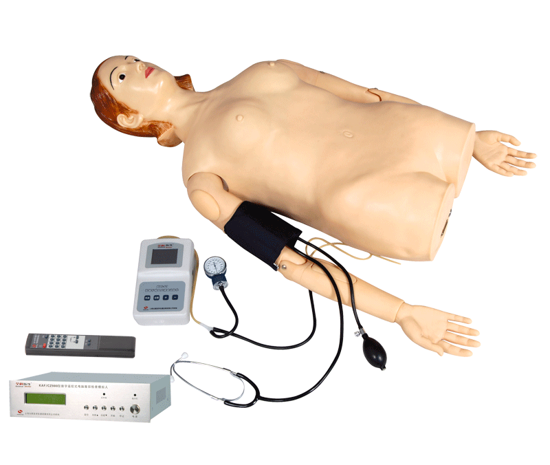 ��(sh��)���b��ʽ��X�����|�\��Ѫ���y��ģ�M��