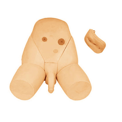 男女性別可互換導(dǎo)尿模型 男女性別可互換導(dǎo)尿模型
