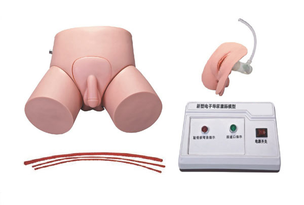 ��ӌ�(d��o)����c�̌W(xu��)����(x��)ģ��