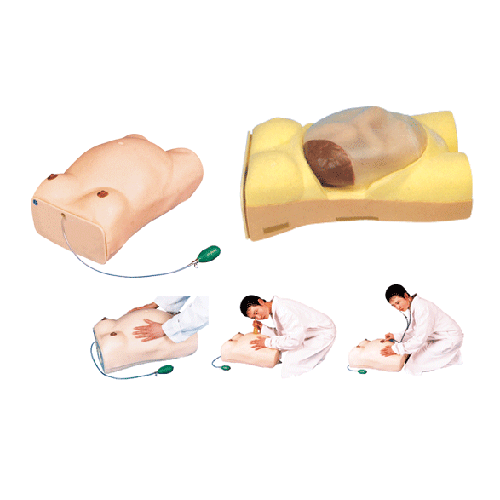 高級電腦孕婦檢查模型 高級電腦孕婦檢查模型