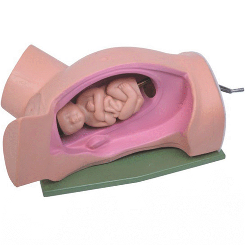 ����C(j��)�D(zhu��n)ʾ��ģ��