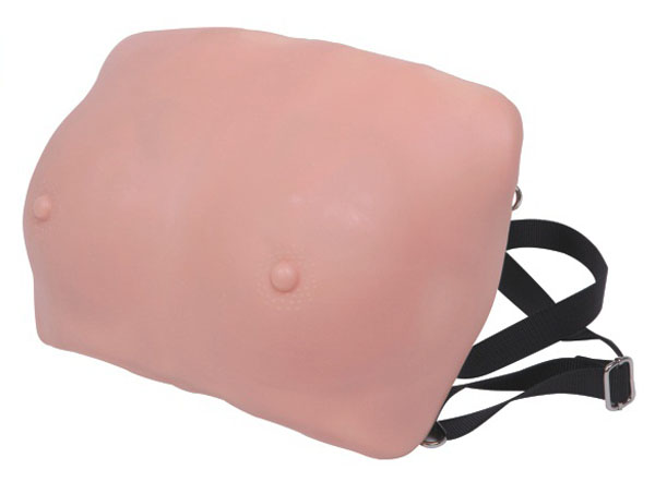 �鷿�z���\��ģ��,�鷿�[���b�e�\��ģ��