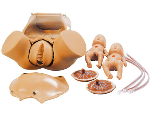 高級(jí)分娩綜合技能訓(xùn)練模型 高級(jí)分娩綜合技能訓(xùn)練模型