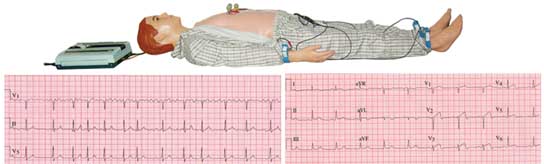 高級多種心電圖電腦模擬人 高級多種心電圖電腦模擬人