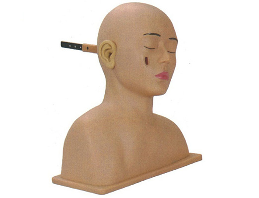 高級耳診斷模型 高級耳診斷模型