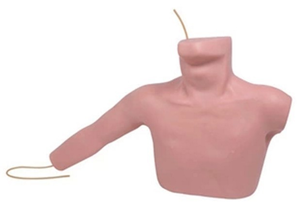 外周穿刺、中心靜脈穿刺插管訓(xùn)練模型 外周穿刺、中心靜脈穿刺插管訓(xùn)練模型