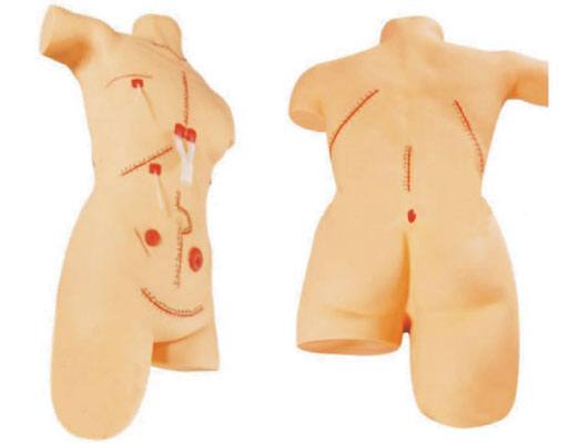 外科縫合包扎展示模型 外科縫合包扎展示模型