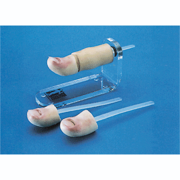 拔甲術練習模塊 拔甲術練習模塊