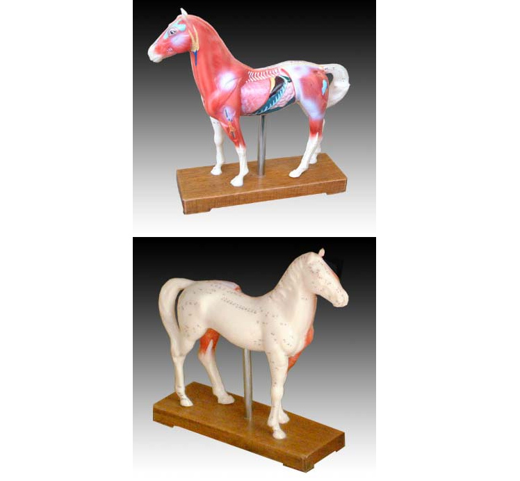 �R���i��ţ������؈?b��o)w���ģ��