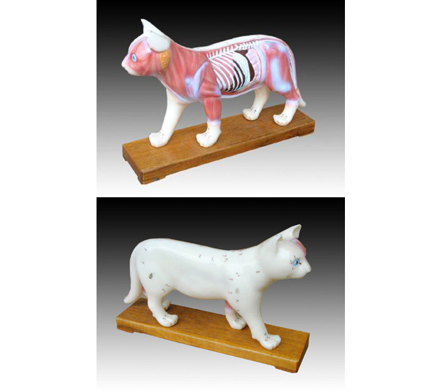 �R���i��ţ������؈?b��o)w���ģ��