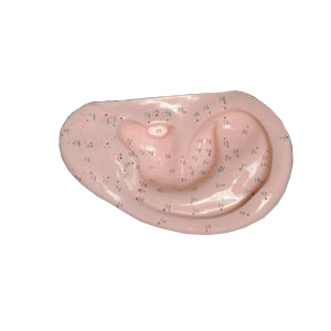 ��ᘾ�ģ�ͣ���Ȼ��