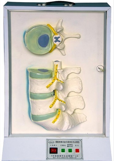 ����׵��׵�g�P�ͼ���(j��ng)늄�(d��ng)ģ��