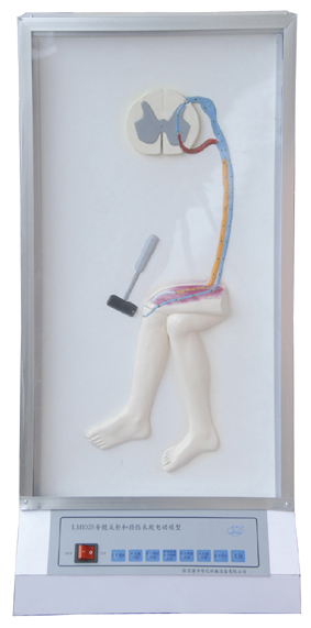 ����ķ���͓p�����F(xi��n)늄�ģ��