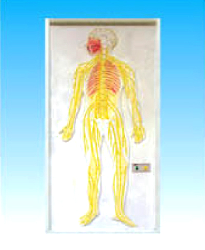 ����ʽ��Сѭ�h(hu��n)늄�ģ��