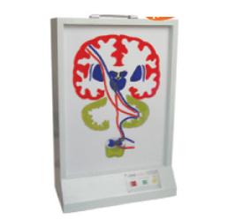 �F�w��ϵ��Ƥ�|(zh��)-�X��-С�Xϵ��늄�ģ��