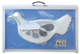 �����p�غ�����ʾ��