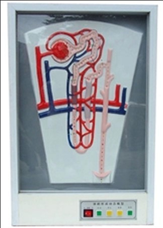 ����γɄ�(d��ng)�B(t��i)ģ��