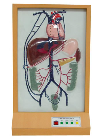 �T�o�}��(c��)֧ѭ�h(hu��n)늄�ģ��