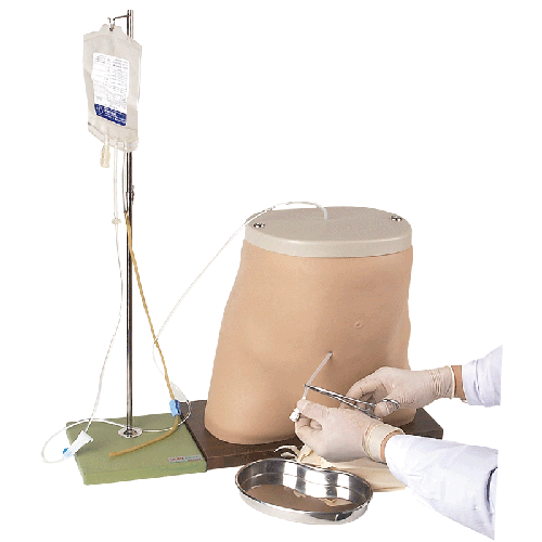 ��Ĥ͸��ģ��