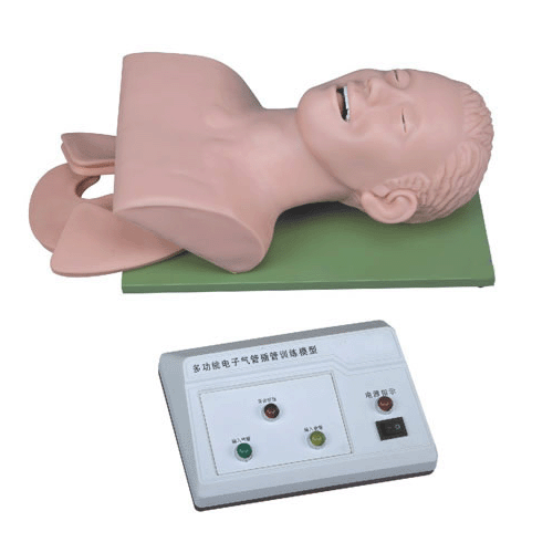 �߼����w��ܲ��Ӗ��ģ��