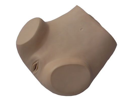 高級婦科檢查訓練模型 高級婦科檢查訓練模型