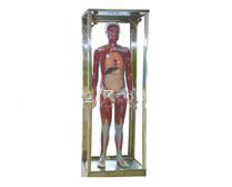 ȫ����(j��ng)����(d��o)늄�ģ��