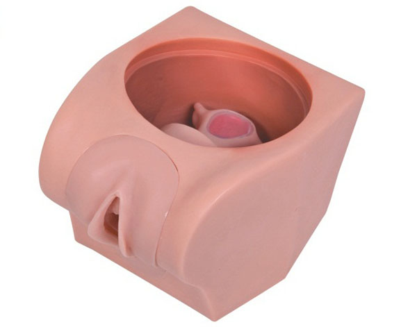  �߼�Ӌ����������ģ��,�m��(n��i)������,�ϭh(hu��n)Ӗ(x��n)������