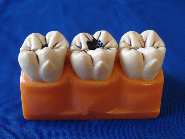 4���x�X�ֽ�ģ��