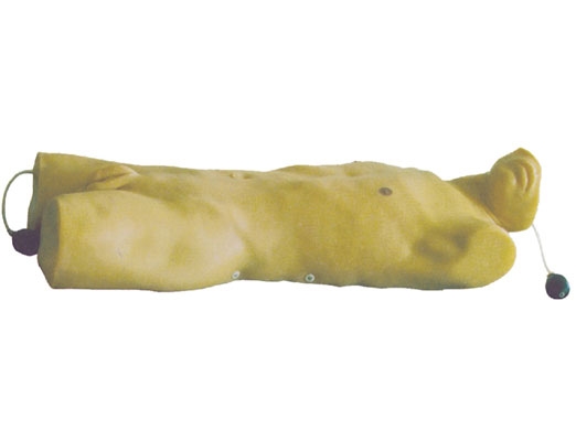 胸腔閉式引流術(shù)訓(xùn)練模型 胸腔閉式引流術(shù)訓(xùn)練模型