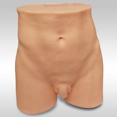 針灸臀部訓(xùn)練模型 針灸臀部訓(xùn)練模型