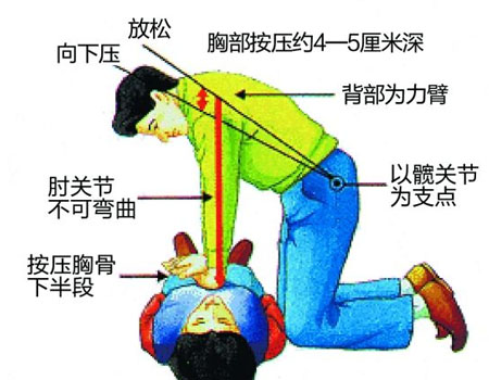 �ķΏ�(f��)�Kģ�M��,�ķΏ�(f��)�KӖ(x��n)�����wģ��