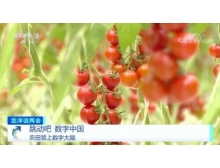 兩會關注數字農業，構建鄉村振興的數字藍海
